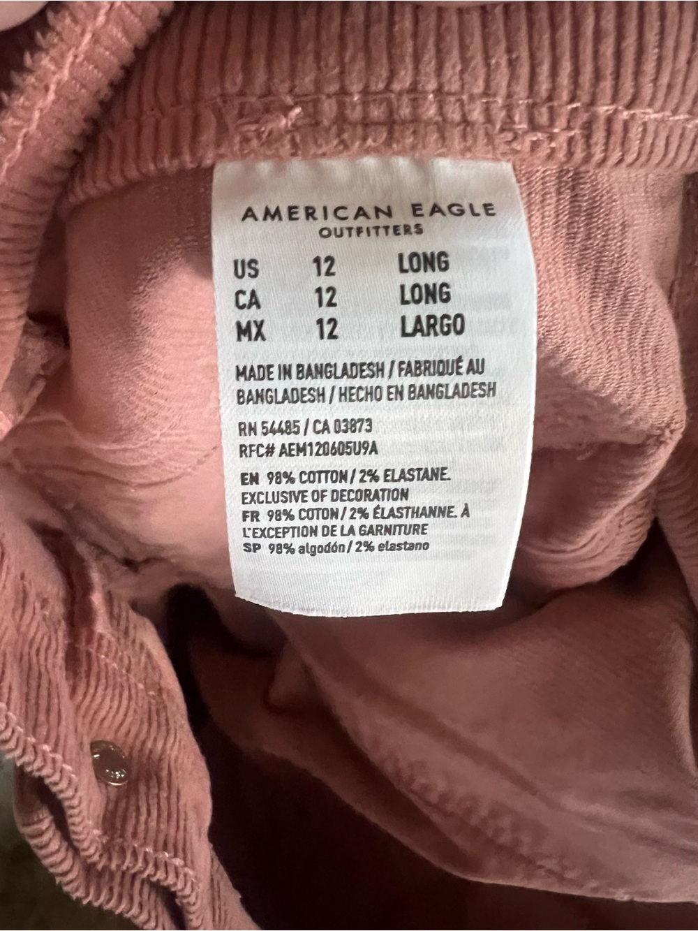 AE Stretch Corduroy Low Rise Baggy Pant in Rose.